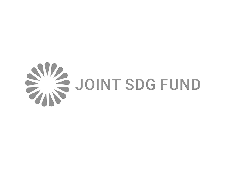 Joint SDG fund logo